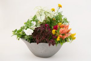 伝統のいぶし器季節の花苗寄せ植え鉢